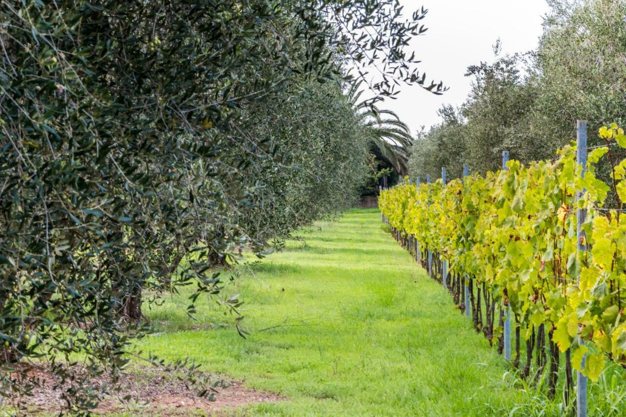 Agriturismo Villa Isa فولّونيكا المظهر الخارجي الصورة